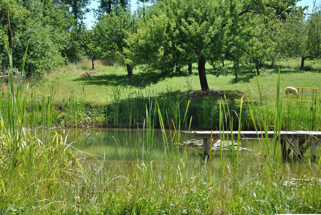 Liptovský Trnovec Gazdovsky Dvor "U Tlaciarov"ゲストハウス エクステリア 写真